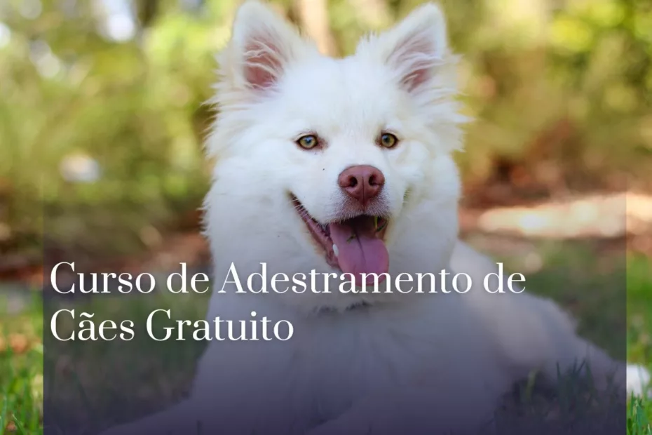 Curso de Adestramento de Cães Gratuito