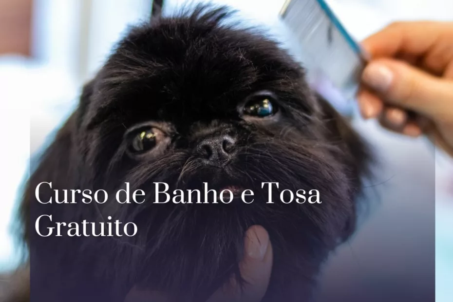 Curso de Banho e Tosa Gratuito