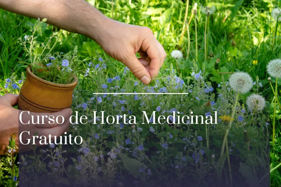 Curso de Horta Medicinal Gratuito